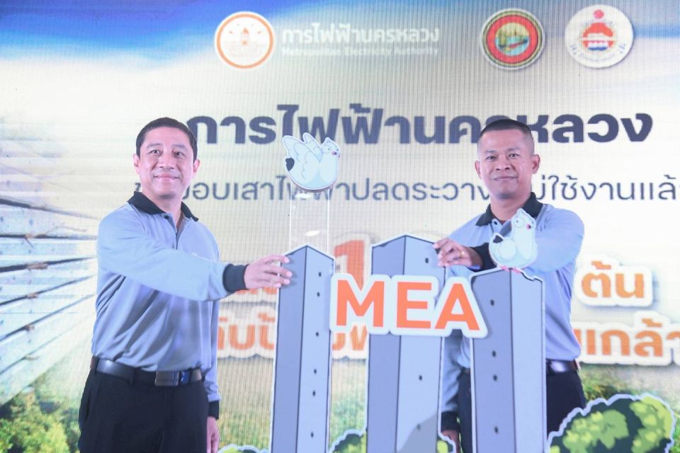 MEA มอบเสาไฟฟ้าปลดระวาง 1,020 ต้น หนุน “MEA's Model" ปักแนวป้องกันชายฝั่ง พร้อมรวมพลังปลูกป่าชายเลนส่งมอบต้นโกงกาง 1,100 ต้น
