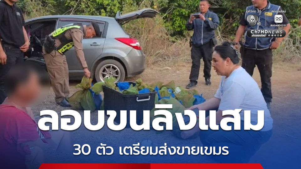 ปทส.รวบขบวนการ ค้าลิงข้ามชาติ  ลอบขน “ลิงแสม” กว่า 30 ตัว เตรียมส่งขายชายแดนเขมร พบตายบางส่วน เพราะทน อากาศร้อนไม่ไหว  