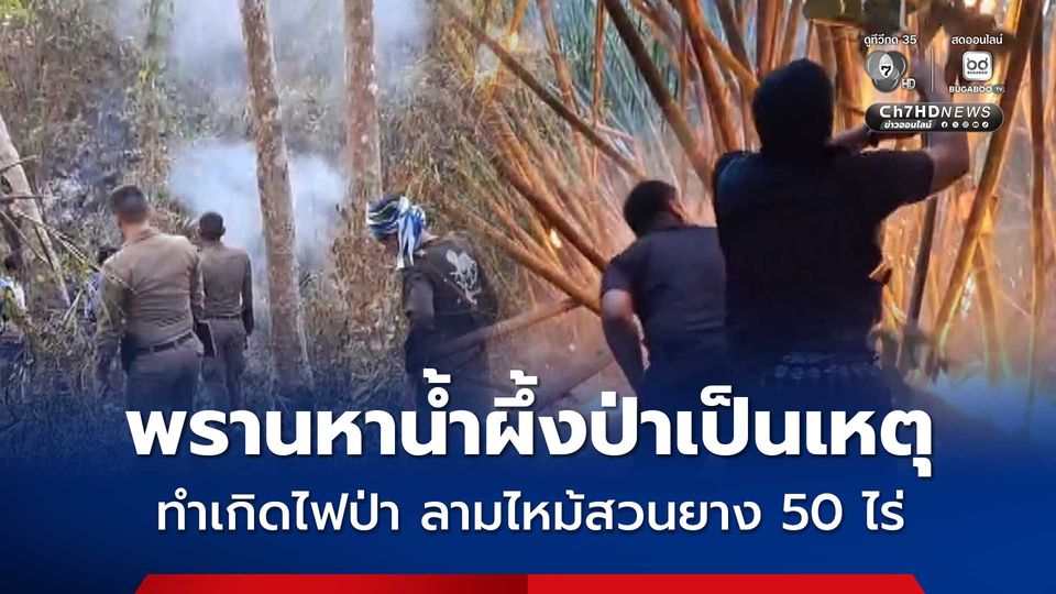 พรานหาน้ำผึ้งป่าเป็นเหตุ ทำเกิดไฟป่า ลามไหม้สวนยาง 50 ไร่