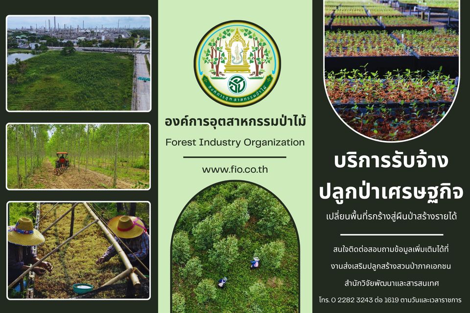 อ.อ.ป. พลิกที่ดินรกร้างสู่ “สินทรัพย์สีเขียว” เปิดธุรกิจรับจ้างปลูกป่าครบวงจร ลดความเสี่ยงสร้างมูลค่าระยะยาว